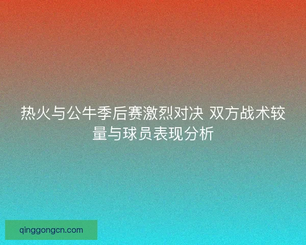 热火与公牛季后赛激烈对决 双方战术较量与球员表现分析