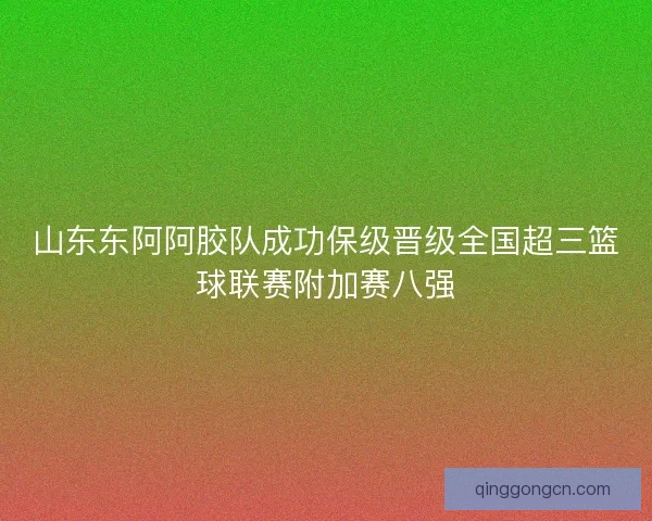 山东东阿阿胶队成功保级晋级全国超三篮球联赛附加赛八强