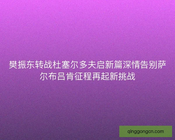 樊振东转战杜塞尔多夫启新篇深情告别萨尔布吕肯征程再起新挑战