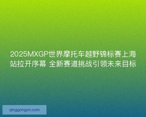 2025MXGP世界摩托车越野锦标赛上海站拉开序幕 全新赛道挑战引领未来目标