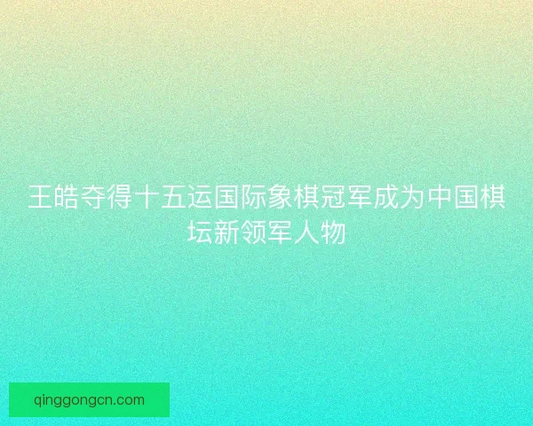 王皓夺得十五运国际象棋冠军成为中国棋坛新领军人物