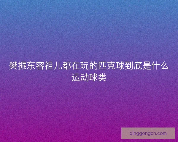 樊振东容祖儿都在玩的匹克球到底是什么运动球类