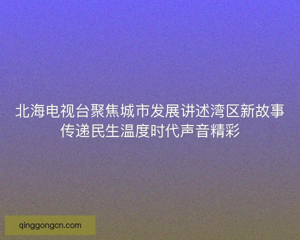 北海电视台聚焦城市发展讲述湾区新故事传递民生温度时代声音精彩