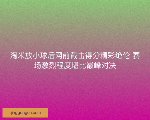 淘米放小球后网前截击得分精彩绝伦 赛场激烈程度堪比巅峰对决